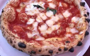 Terry’s Grocery And Pizza Menu With Prices